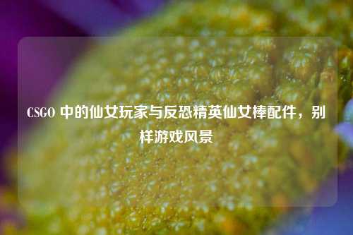 CSGO 中的仙女玩家与反恐精英仙女棒配件，别样游戏风景