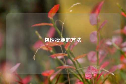 快速瘦腿的方法