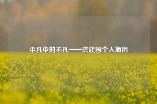 平凡中的不凡——洪建国个人简历