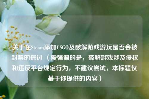 关于在Steam添加CSGO及破解游戏游玩是否会被封禁的探讨 (需强调的是,破解游戏涉及侵权和违反平台规定行为,不建议尝试,本标题仅基于你提供的内容)
