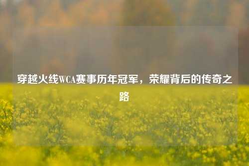穿越火线WCA赛事历年冠军,荣耀背后的传奇之路