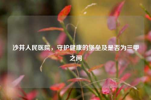 沙井人民医院，守护健康的堡垒及是否为三甲之问