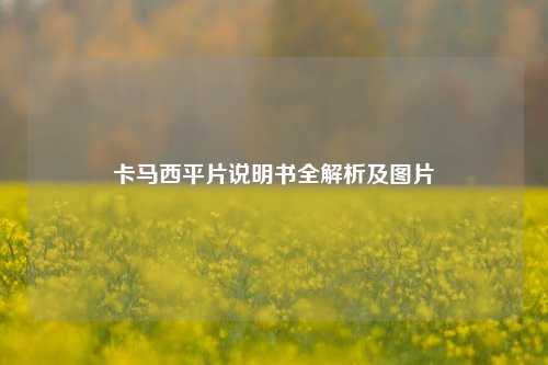 卡马西平片说明书全解析及图片