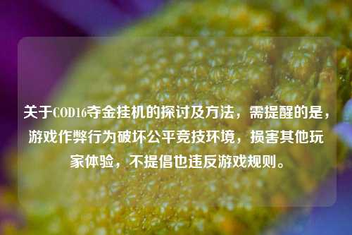 关于COD16夺金挂机的探讨及方法,需提醒的是,游戏作弊行为破坏公平竞技环境,损害其他玩家体验,不提倡也违反游戏规则。