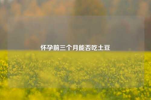 怀孕前三个月能否吃土豆
