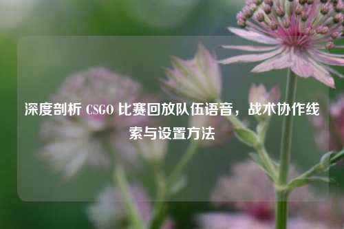 深度剖析 CSGO 比赛回放队伍语音,战术协作线索与设置方法