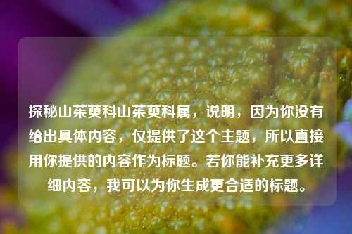 探秘山茱萸科山茱萸科属,说明,因为你没有给出具体内容,仅提供了这个主题,所以直接用你提供的内容作为标题。若你能补充更多详细内容,我可以为你生成更合适的标题。