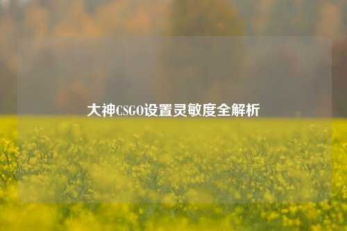 大神CSGO设置灵敏度全解析