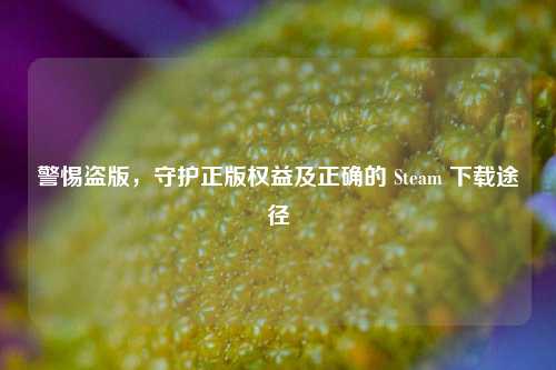 警惕盗版，守护正版权益及正确的 Steam 下载途径
