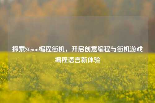 探索Steam编程街机,开启创意编程与街机游戏编程语言新体验