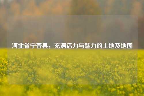 河北省宁晋县，充满活力与魅力的土地及地图