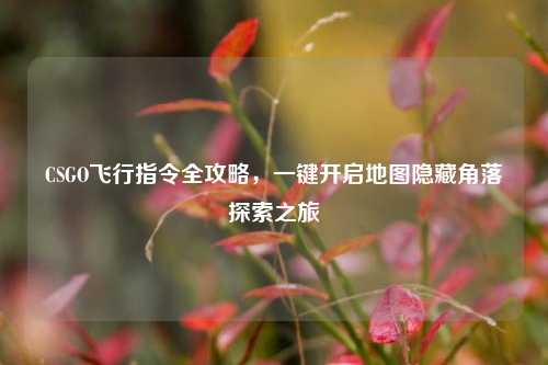 CSGO飞行指令全攻略，一键开启地图隐藏角落探索之旅