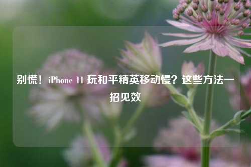 别慌！iPhone 11 玩和平精英移动慢？这些方法一招见效