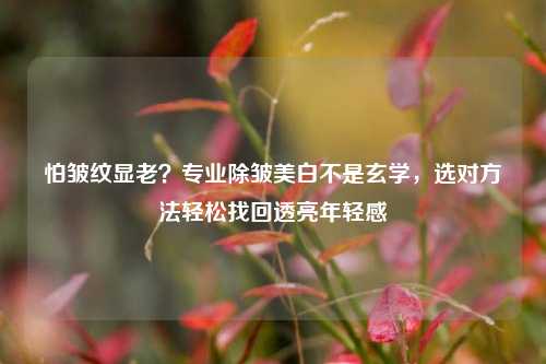 怕皱纹显老？专业除皱美白不是玄学，选对方法轻松找回透亮年轻感