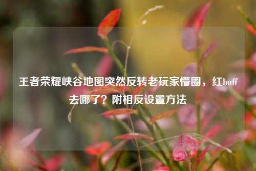 王者荣耀峡谷地图突然反转老玩家懵圈,红buff去哪了?附相反设置方法