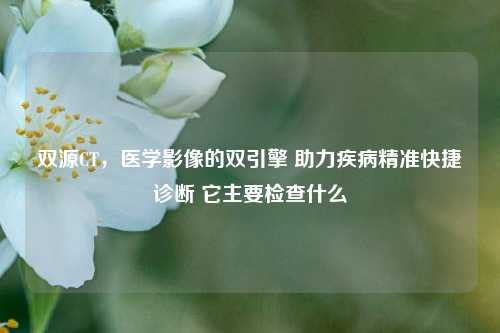 双源CT，医学影像的双引擎 助力疾病精准快捷诊断 它主要检查什么