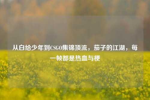 从白给少年到CSGO集锦顶流,茄子的江湖,每一帧都是热血与梗