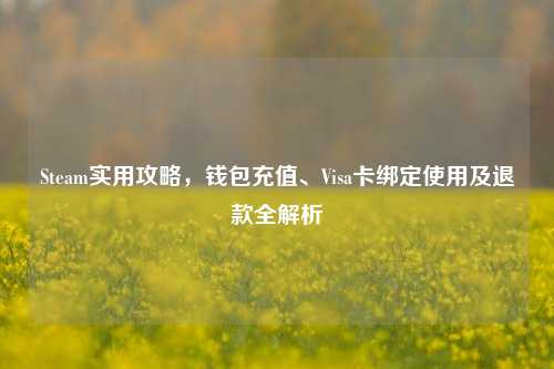 Steam实用攻略，钱包充值、Visa卡绑定使用及退款全解析