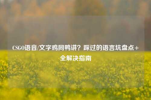 CSGO语音/文字鸡同鸭讲？踩过的语言坑盘点+全解决指南