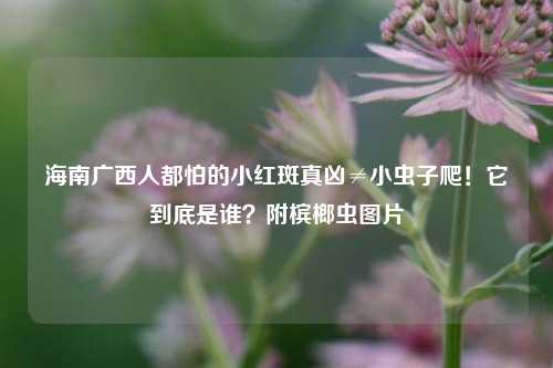 海南广西人都怕的小红斑真凶≠小虫子爬!它到底是谁?附槟榔虫图片