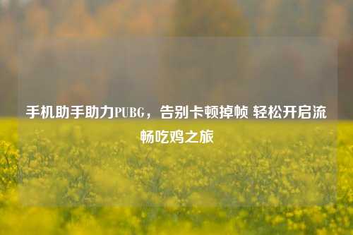 手机助手助力PUBG，告别卡顿掉帧 轻松开启流畅吃鸡之旅