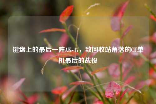 键盘上的最后一阵AK-47,致回收站角落的CF单机最后的战役