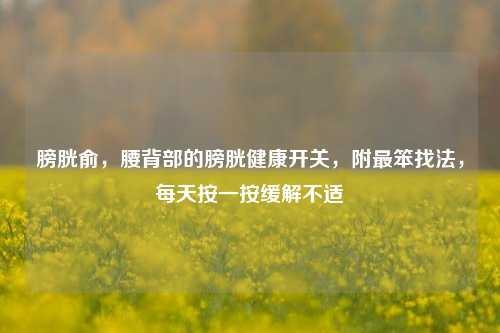 膀胱俞,腰背部的膀胱健康开关,附最笨找法,每天按一按缓解不适