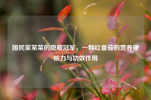 国民家常菜的隐藏冠军，一颗红番茄的营养硬核力与功效作用