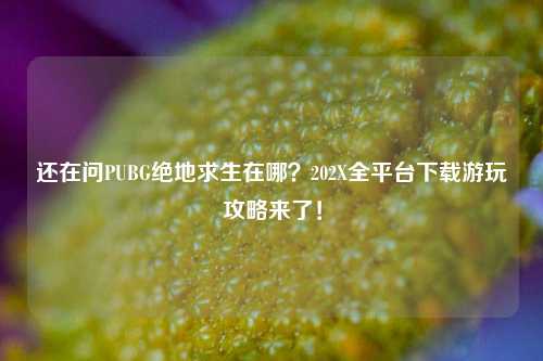 还在问PUBG绝地求生在哪？202X全平台下载游玩攻略来了！