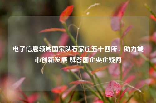 电子信息领域国家队石家庄五十四所,助力城市创新发展 解答国企央企疑问