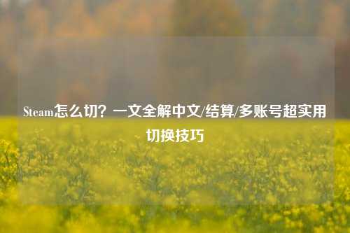 Steam怎么切?一文全解中文/结算/多账号超实用切换技巧