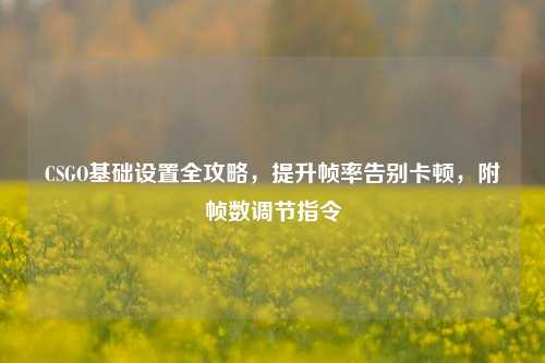 CSGO基础设置全攻略，提升帧率告别卡顿，附帧数调节指令