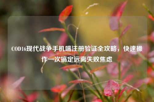 COD16现代战争手机端注册验证全攻略，快速操作一次搞定远离失败焦虑