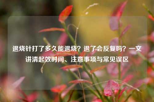 退烧针打了多久能退烧?退了会反复吗?一文讲清起效时间、注意事项与常见误区