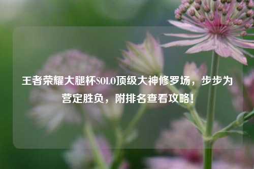 王者荣耀大腿杯SOLO顶级大神修罗场，步步为营定胜负，附排名查看攻略！