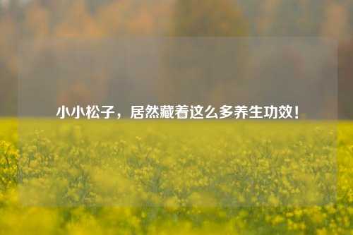 小小松子，居然藏着这么多养生功效！