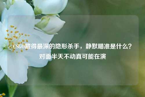 CSGO藏得最深的隐形杀手，静默瞄准是什么？对面半天不动真可能在演