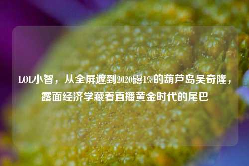 LOL小智,从全屏遮到2020露1%的葫芦岛吴奇隆,露面经济学藏着直播黄金时代的尾巴