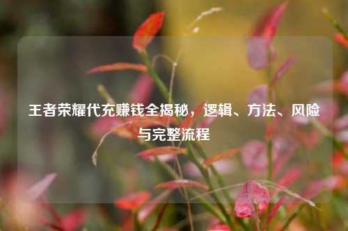 王者荣耀代充赚钱全揭秘，逻辑、方法、风险与完整流程