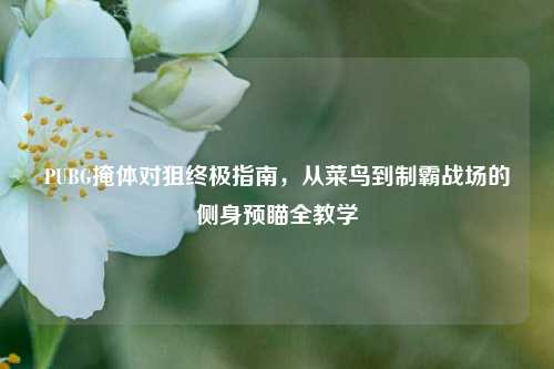 PUBG掩体对狙终极指南,从菜鸟到制霸战场的侧身预瞄全教学