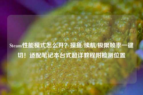 Steam性能模式怎么开？摸鱼/续航/极限帧率一键切！适配笔记本台式超详教程附检测位置