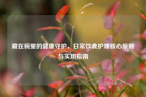 藏在碗里的健康守护，日常饮食护理核心原则与实用指南