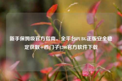 新手保姆级官方指南，全平台PUBG正版安全稳定获取+西门子1200官方软件下载