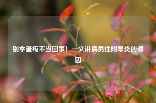 别拿蛋疼不当回事!一文讲清男性附睾炎的诱因