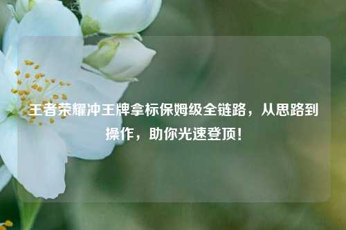 王者荣耀冲王牌拿标保姆级全链路，从思路到操作，助你光速登顶！