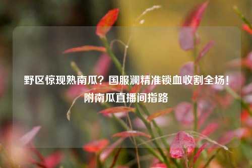 野区惊现熟南瓜？国服澜精准锁血收割全场！附南瓜直播间指路