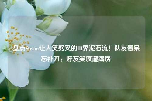 盘点Steam让人笑劈叉的ID界泥石流!队友看呆忘补刀,好友笑疯遭踢房