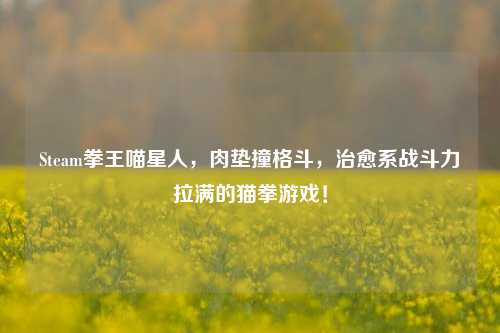 Steam拳王喵星人，肉垫撞格斗，治愈系战斗力拉满的猫拳游戏！