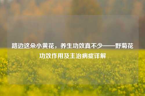 路边这朵小黄花，养生功效真不少——野菊花功效作用及主治病症详解