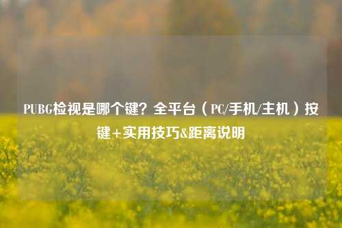 PUBG检视是哪个键？全平台（PC/手机/主机）按键+实用技巧&距离说明